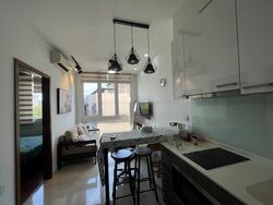 The Hillford (D21), Apartment #458680931